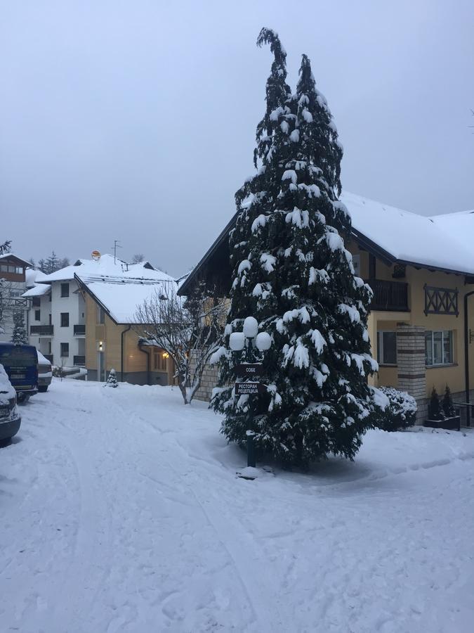Guest House Vila Zunic Zlatibor Bagian luar foto